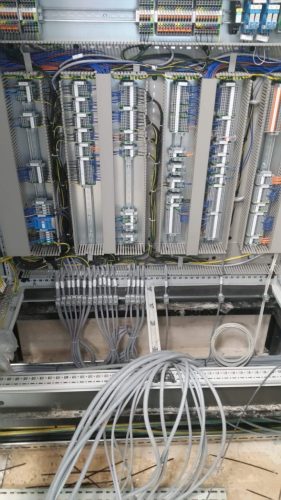 photo 2024-02-29 08-11-23